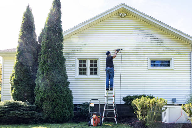 Best Pressure Washing Near Me  in Reedsville, WI